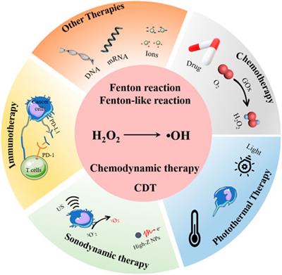 Frontiers | Nanosystems For Chemodynamic Based Combination Therapy ...